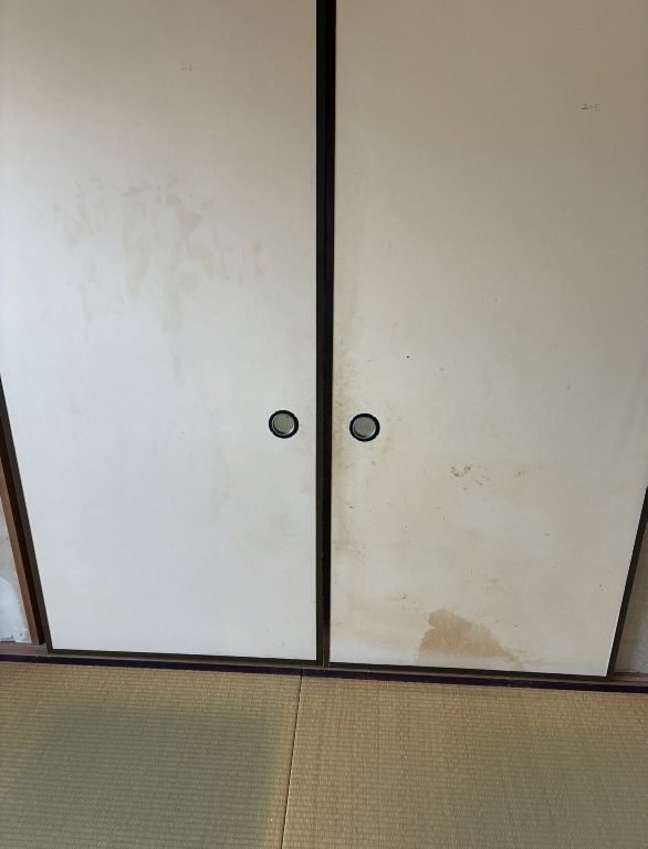 所沢市 足元から春が始まる