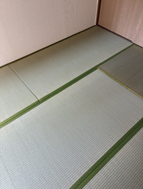 その咳、もしかして“畳、壁紙のカビ”が原因かもしれません。