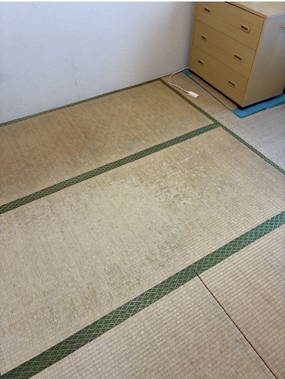 その咳、もしかして“畳、壁紙のカビ”が原因かもしれません。