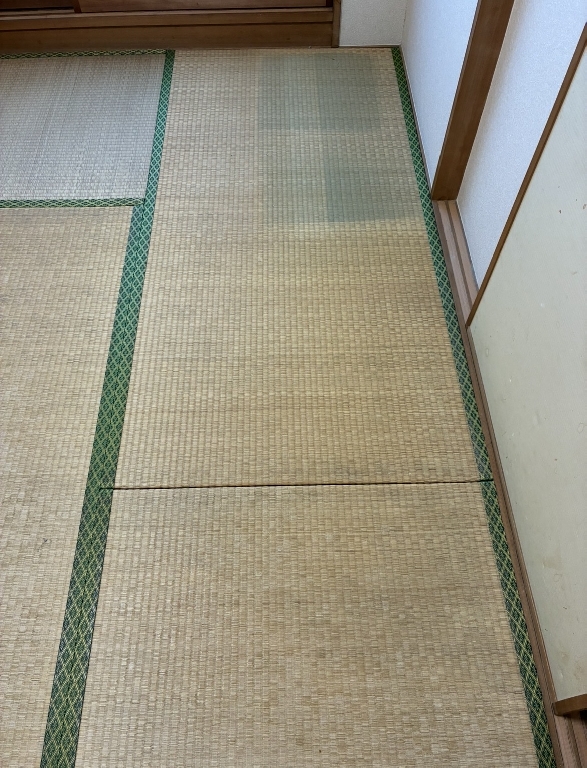 その咳、もしかして“畳、壁紙のカビ”が原因かもしれません。